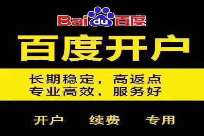 百度推广服务费案例：打造差异化竞争优势